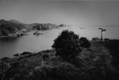 Stay Alert (Matauri Bay, New Zealand)