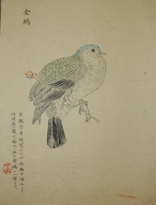 Untitled (scene with bird on a branch)