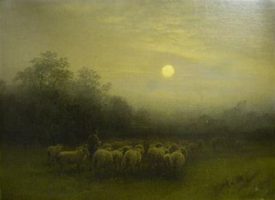 Moonlight and Sheep