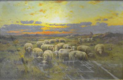 Sheep at Sunset