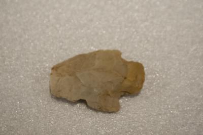 Projectile Point