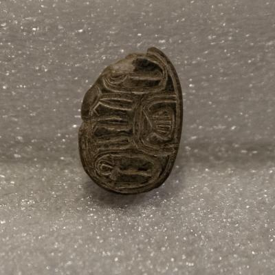 Scarab